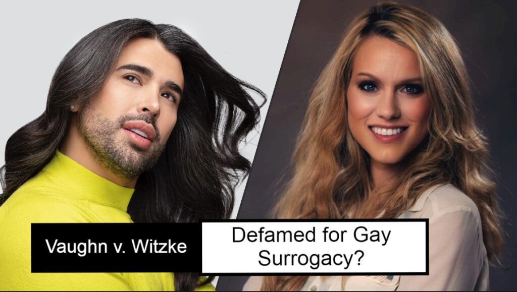 Was Gay Father of Surrogate Twins Defamed? Vaughan v. Witzke
